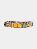 Collier pour chien