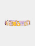 Collier pour chien