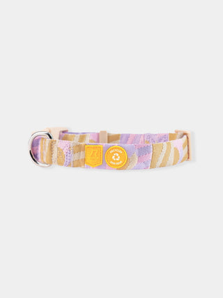 Collier pour chien