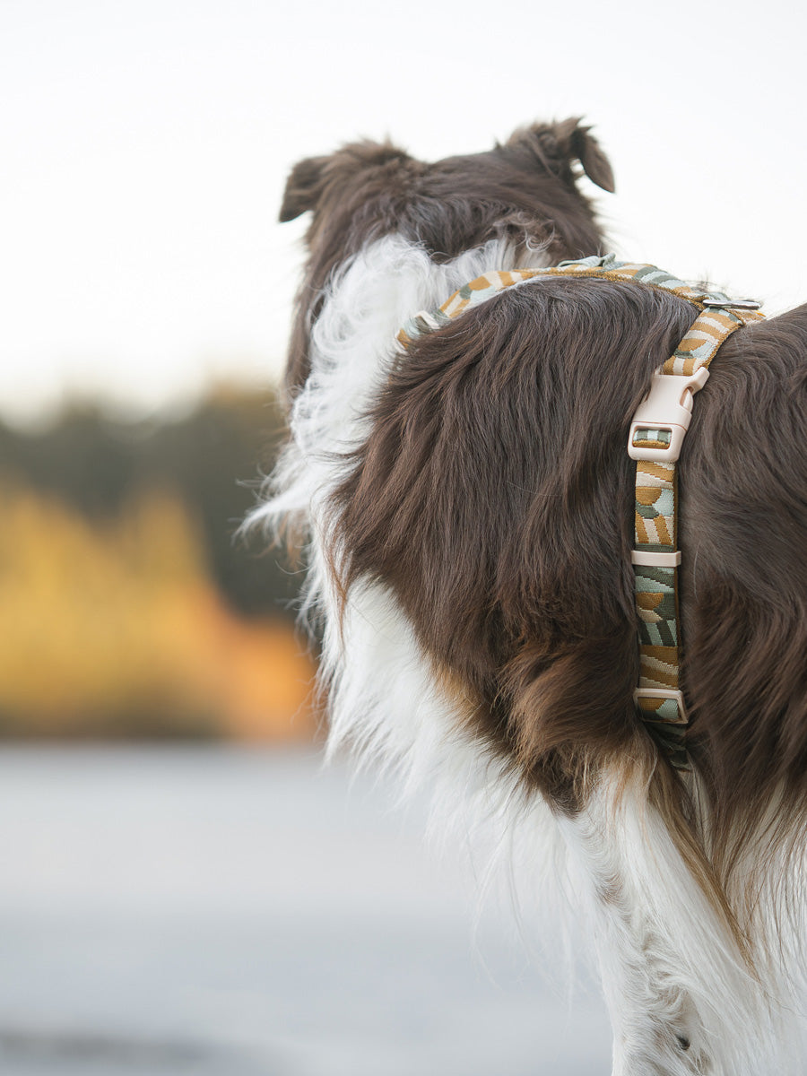 Harnais original pour chien motif Cloudbeam - Woolly Wolf