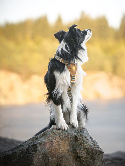 Harnais original pour chien motif Cloudbeam - Woolly Wolf