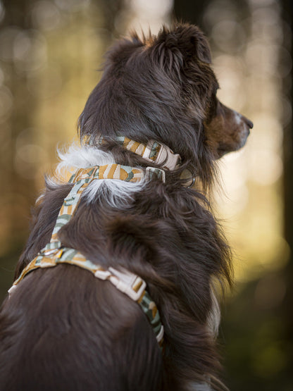 Harnais original pour chien motif Cloudbeam - Woolly Wolf