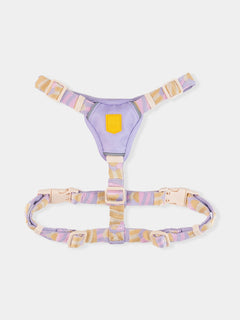 XS (42 à 56 cm)
