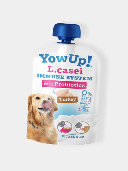 Yaourt à boire pour chien - Boost immunitaire à la Dinde🦃 - Yow Up !