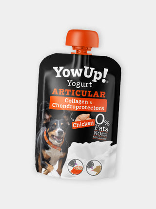 Yaourt à boire pour chien