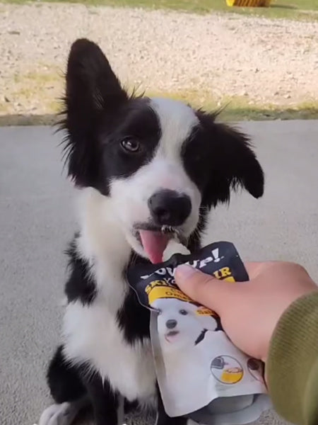 Yaourt à boire pour chien - Pelage goût Saumon 🐟 - Yow Up !