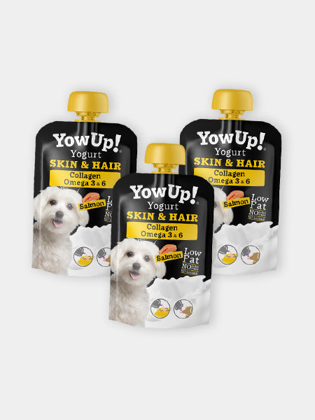 Yaourt à boire pour chien