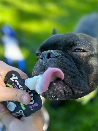 Yaourt à boire pour chien