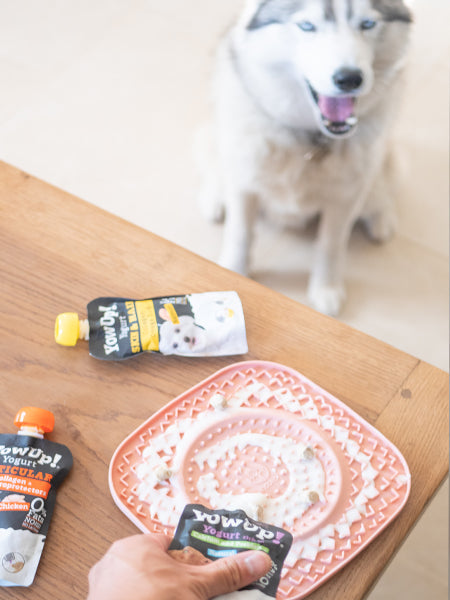 Yaourt à boire pour chien - Articulations goût poulet 🐓 - Yow Up !
