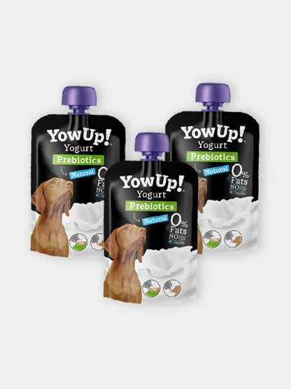 Yaourt à boire pour chien