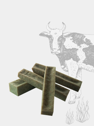 Bâton de fromage à mâcher à la spiruline pour chien