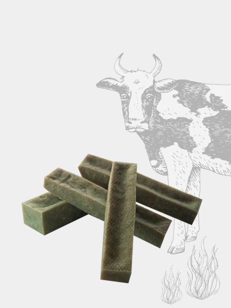 Bâton de fromage à mâcher à la spiruline 🍃 pour chien