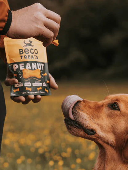 Friandises pour chien