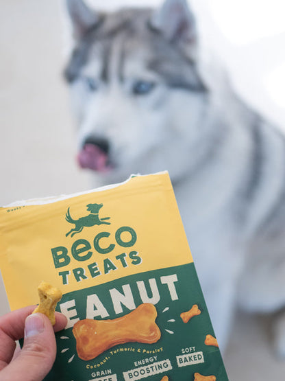 Friandises pour chien