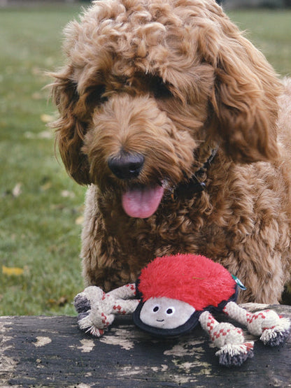 Peluche pour chien écologique - Araignée - Beco Pets
