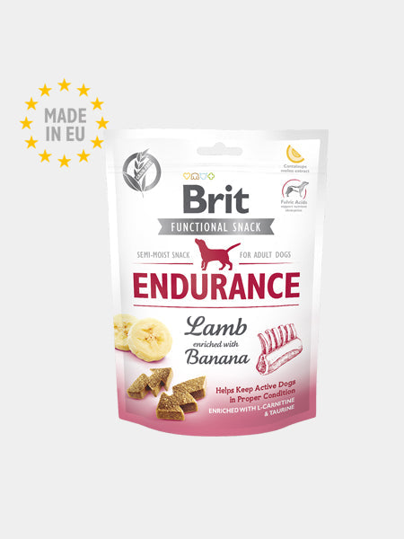 Friandises pour chien