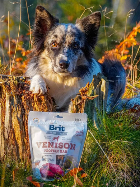 Friandises pour chien Jerky Snack - Cerf 🦌 - Brit