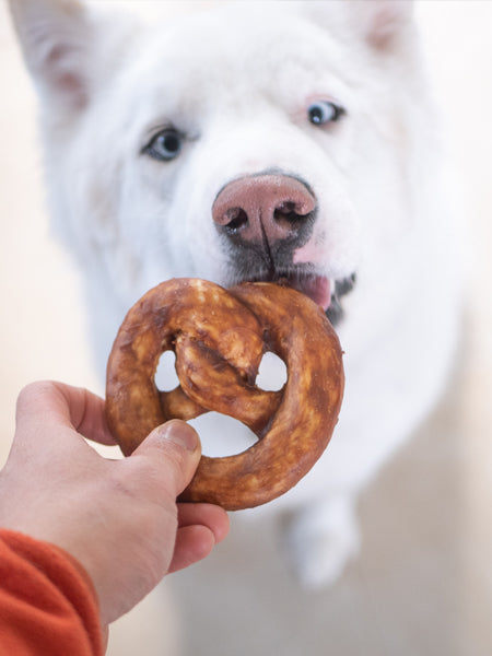 Bretzel de collagène à mâcher