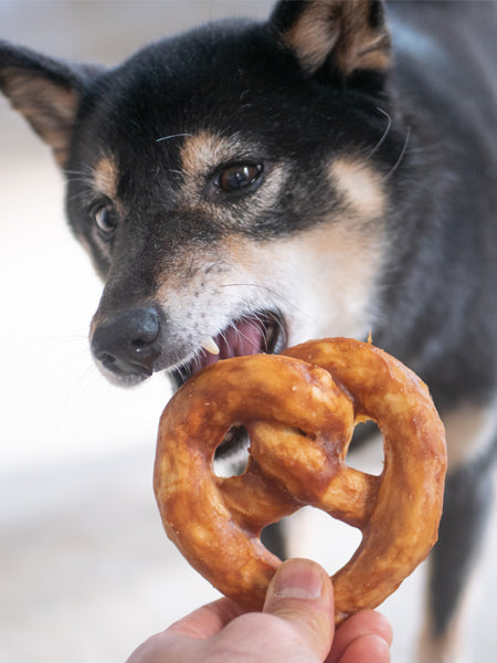 Bretzel de collagène à mâcher
