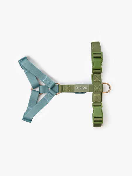 Harnais pour chien - Lake Day - Furlou