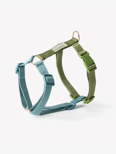 Harnais pour chien - Lake Day - Furlou