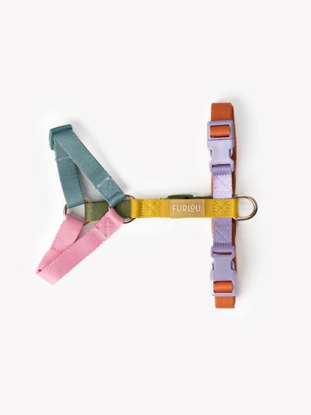 Harnais pour chien - Rainbow - Furlou