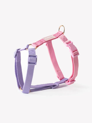 Harnais pour chien