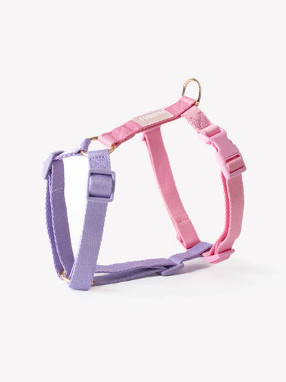 Harnais pour chien - Unicorn - Furlou