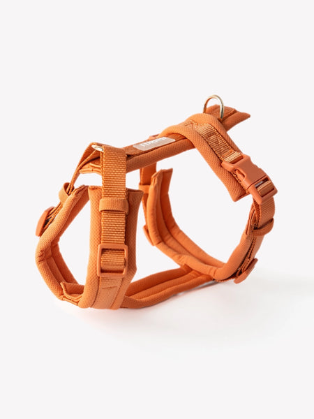 Harnais pour chien ultra léger Comfort - Terracotta - Furlou