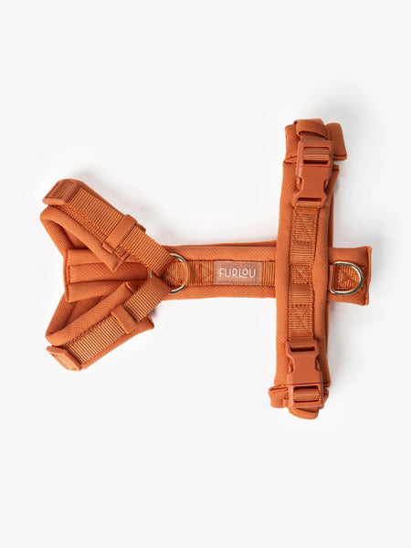 Harnais pour chien ultra léger Comfort - Terracotta - Furlou