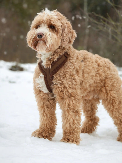 Harnais en H pour chien - Sherpa Marron - Furlou