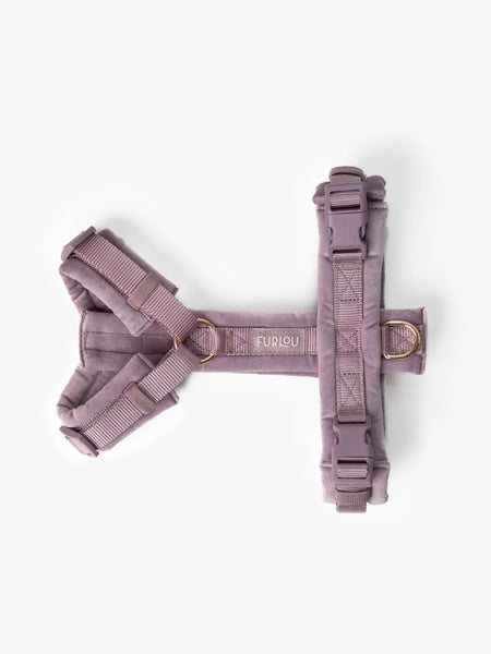 Harnais pour chien - Velvet Harness - Lilac (Violet) - Furlou