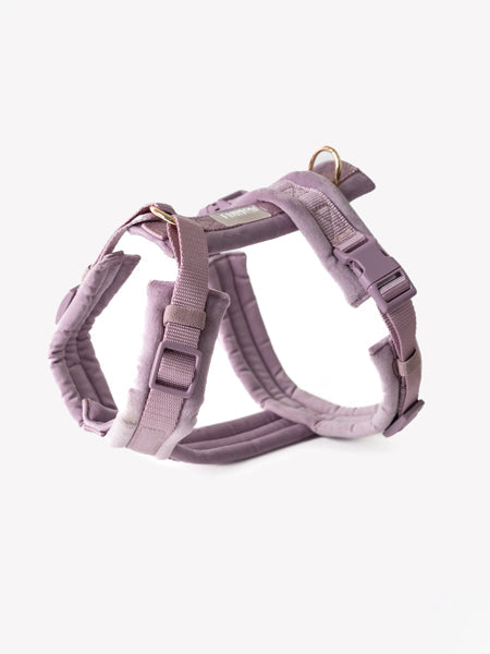 Harnais pour chien - Velvet Harness - Lilac (Violet) - Furlou
