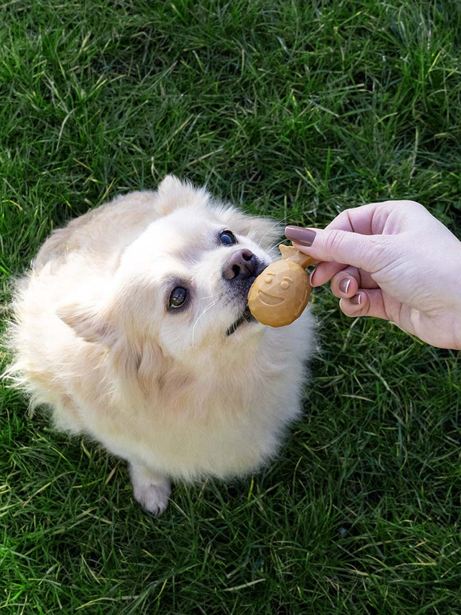 Friandises à mâcher pour chien - Garden Bites Fruity Buddies