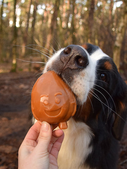 Friandises dentaires à mâcher pour chien