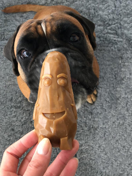 Friandises dentaires à mâcher pour chien