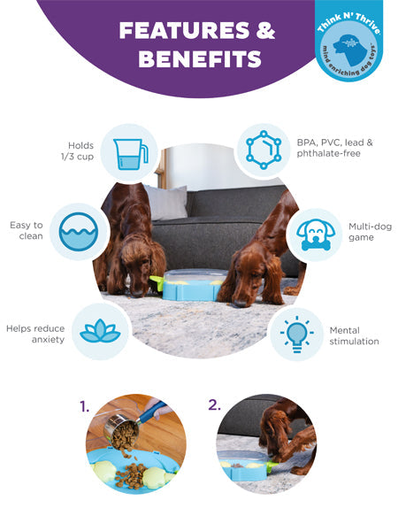 Jeu de réflexion pour chien