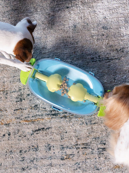 Jeu de réflexion pour chien