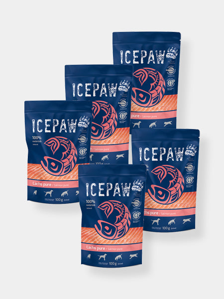 Filet de saumon 100% naturel avec bouillon - Icepaw
