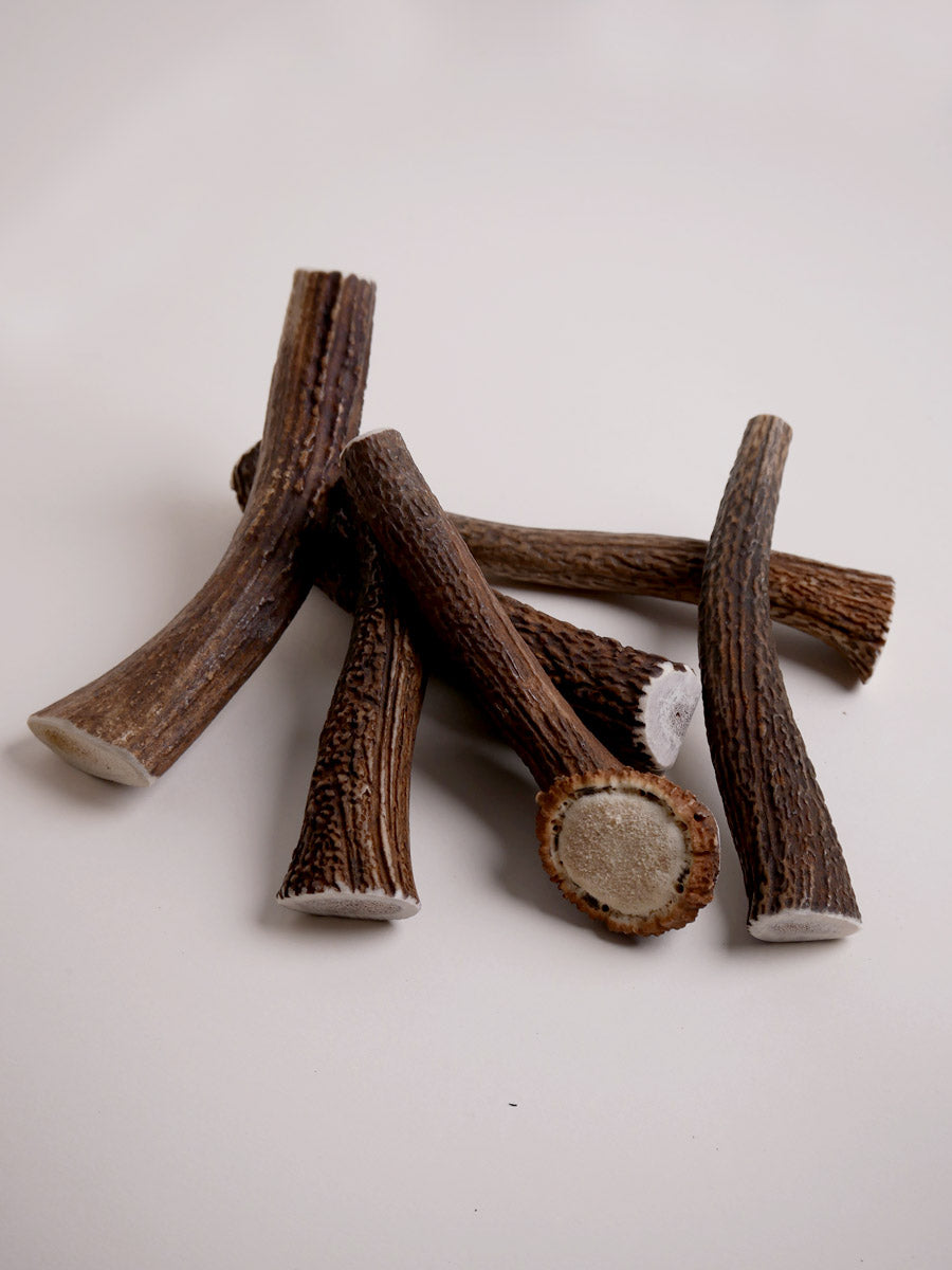 Bois de cerf à mâcher naturel pour chien