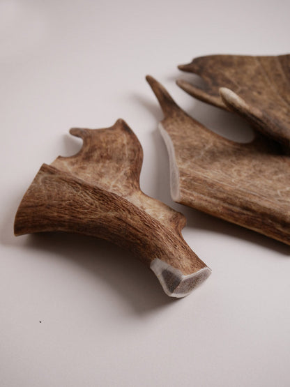 Bois de daim à mâcher naturel pour chien