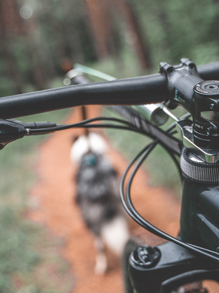 Antenne cani-VTT Fixe - Bike antenna - Non-Stop Dogwear