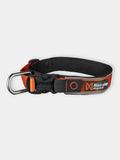 Collier pour chien