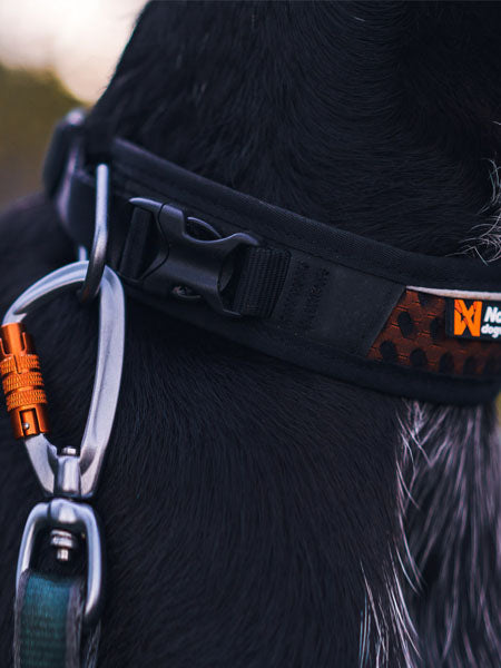 Collier pour chien - Rock Adjustable Collar - Non-Stop Dogwear
