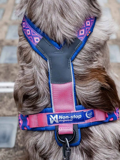 Harnais pour chien - Line Harness 5.0 Rachel Pohl edition - Purple/Pink