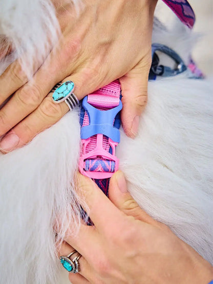 Harnais pour chien - Line Harness 5.0 Rachel Pohl edition - Purple/Pink