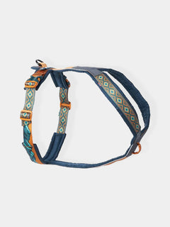 Taille 4 (32-36 cm)