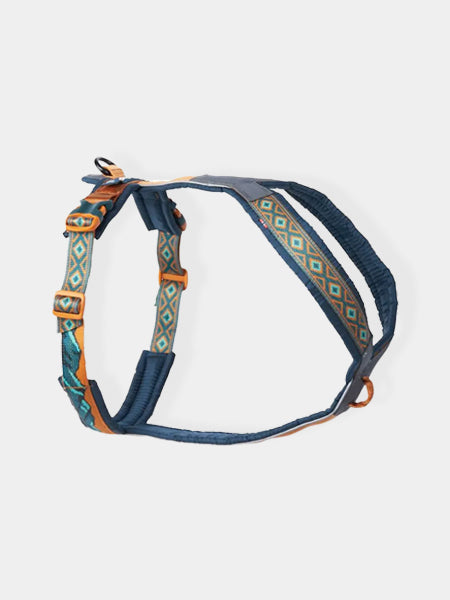 Harnais pour chien - Line Harness 5.0 Rachel Pohl edition - Teal/Oak