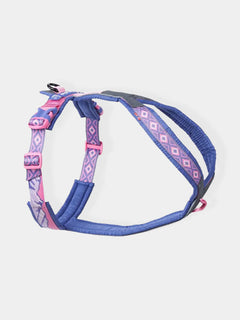 Taille 4 (32-36 cm)