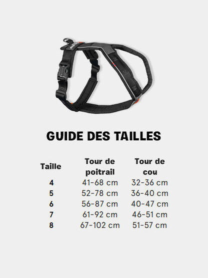 Harnais pour chien - Line Harness 5.0 Rachel Pohl edition - Teal/Oak